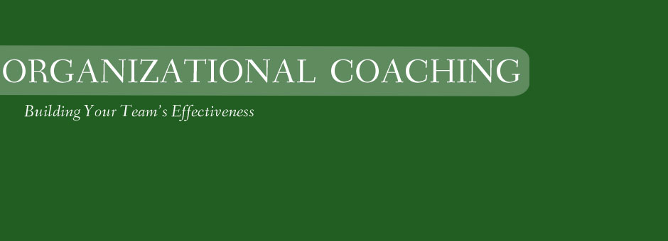 SM_org_coaching