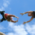 Leadership is Like the Flying Trapeze Leadership is Like the Flying Trapeze